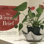 ildiko nyari The Winning Brief by Bryan A. Garner